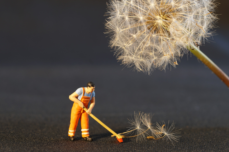 Photo of little toy worker brushing dandelion seeds